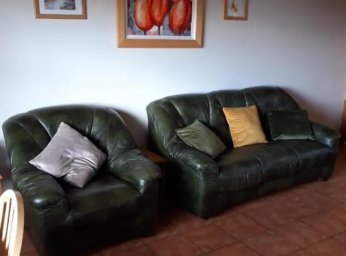 펜션 Maggie's House